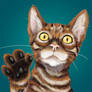 Frodo the Toyger Finished