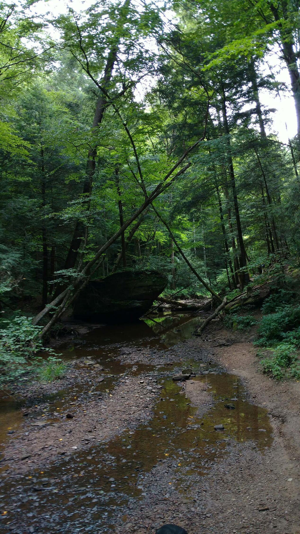 A Calm Walk