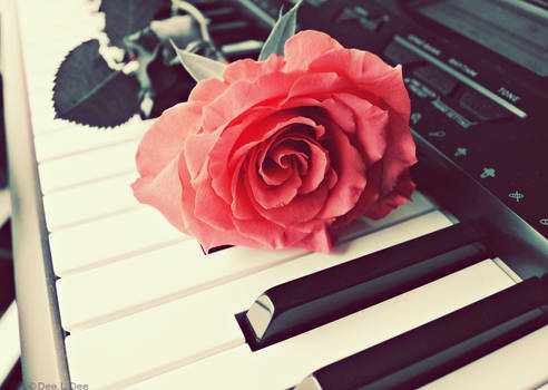 Rose Piano