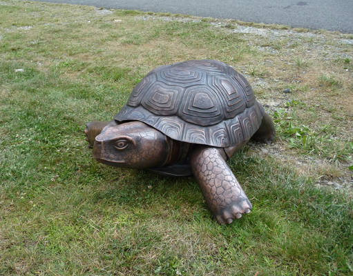 Copper Tortoise Sculpture 3