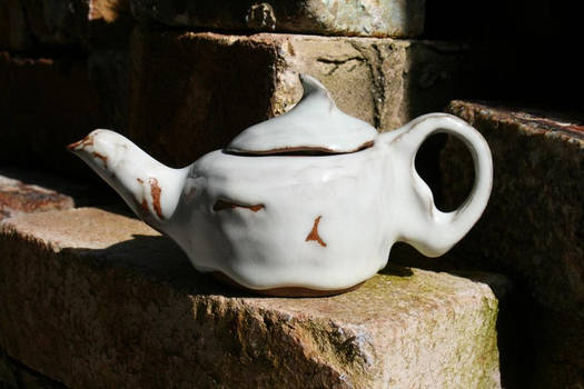 Alaskan Teapot