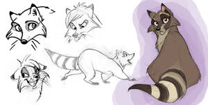 Raccoon Designs