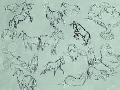 Animal Gestures