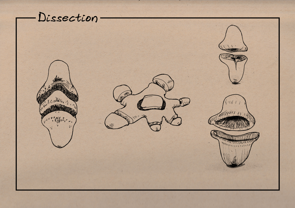 Dissection2 by trungtle on DeviantArt