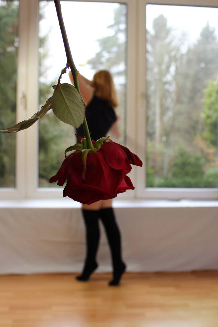 Forced perspective flower photography #1