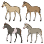 Foals for AvatarMicheru