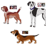 Dog Fusion Adopts -- Open