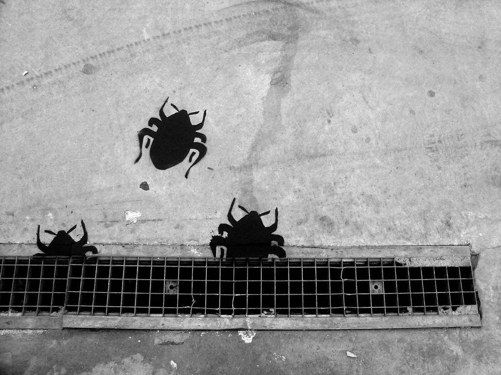 cockroach project 1 by inva on DeviantArt