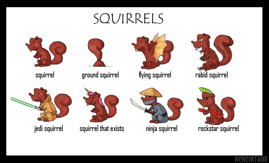 Squirrels