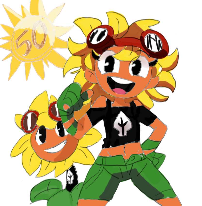 Tomboy sunflower