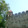 Tropsztyn Castle 2