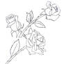 Rose Tattoo draft