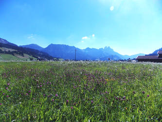 Tannheim landscape