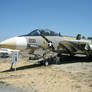 Grumman F-14 Tomcat