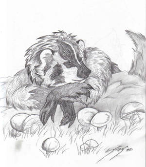 Badger with side of Mushrooms