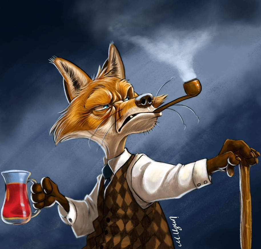 grumpy fox by Muzun on DeviantArt