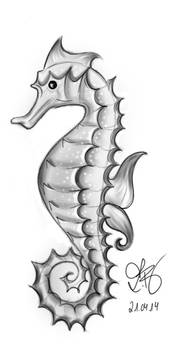 Seahorse