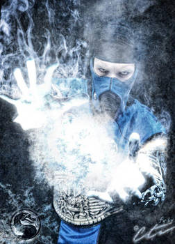 Sub-Zero Cosplay Freeze Artwork