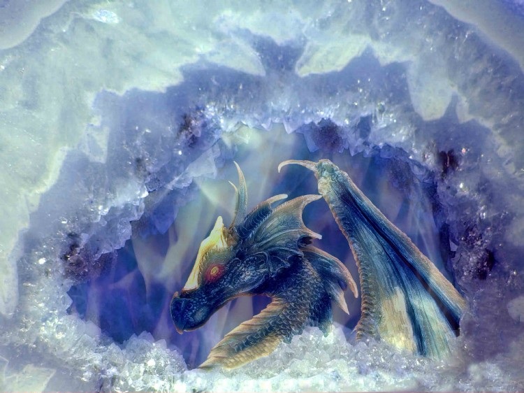 Голова дракона на снегу. Ледяной дракон. Красивый ледяной дракон. Снежный дракон. Морозный дракон.