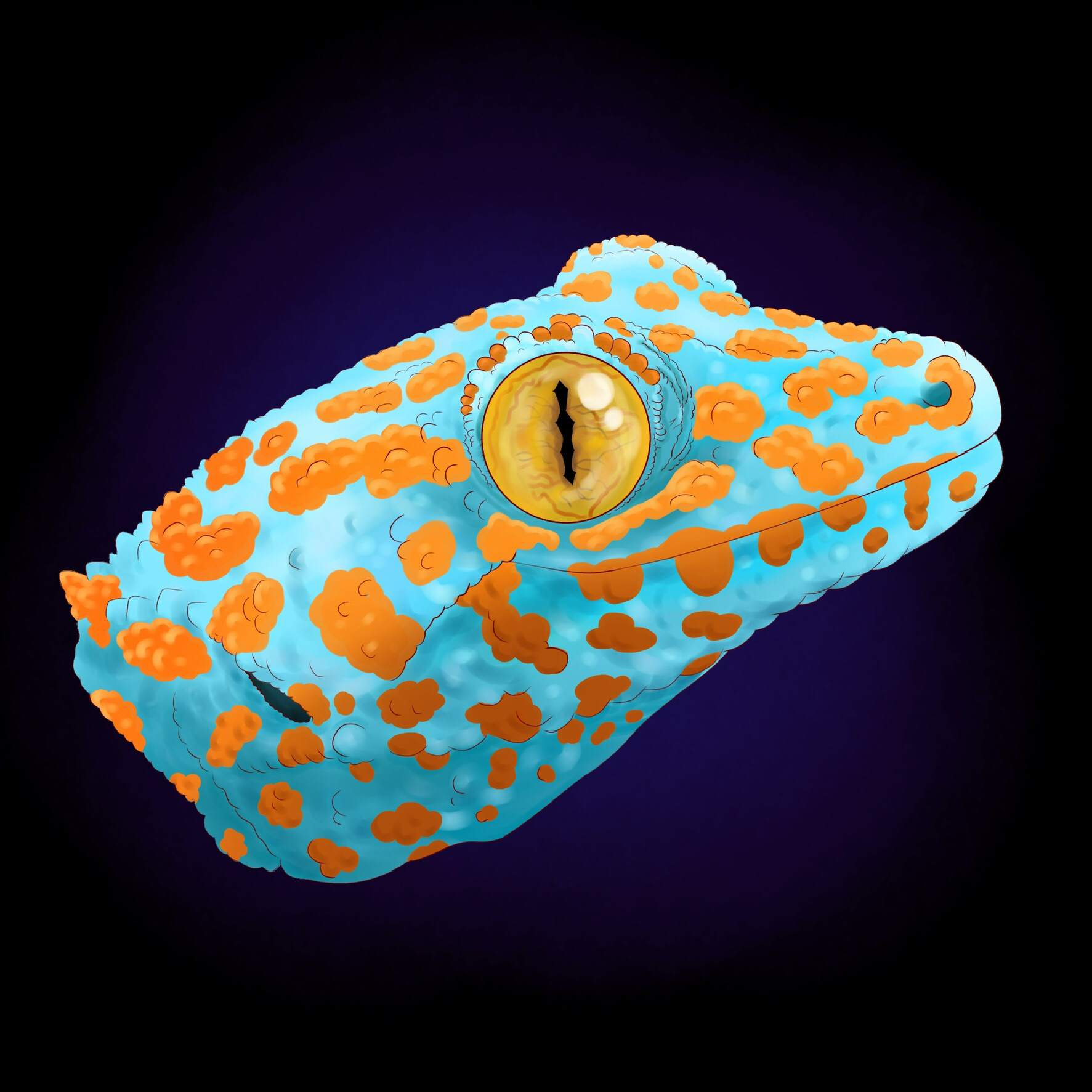 Florida'S Nightmare: The Tokay Gecko Takeover - yvhfaqe