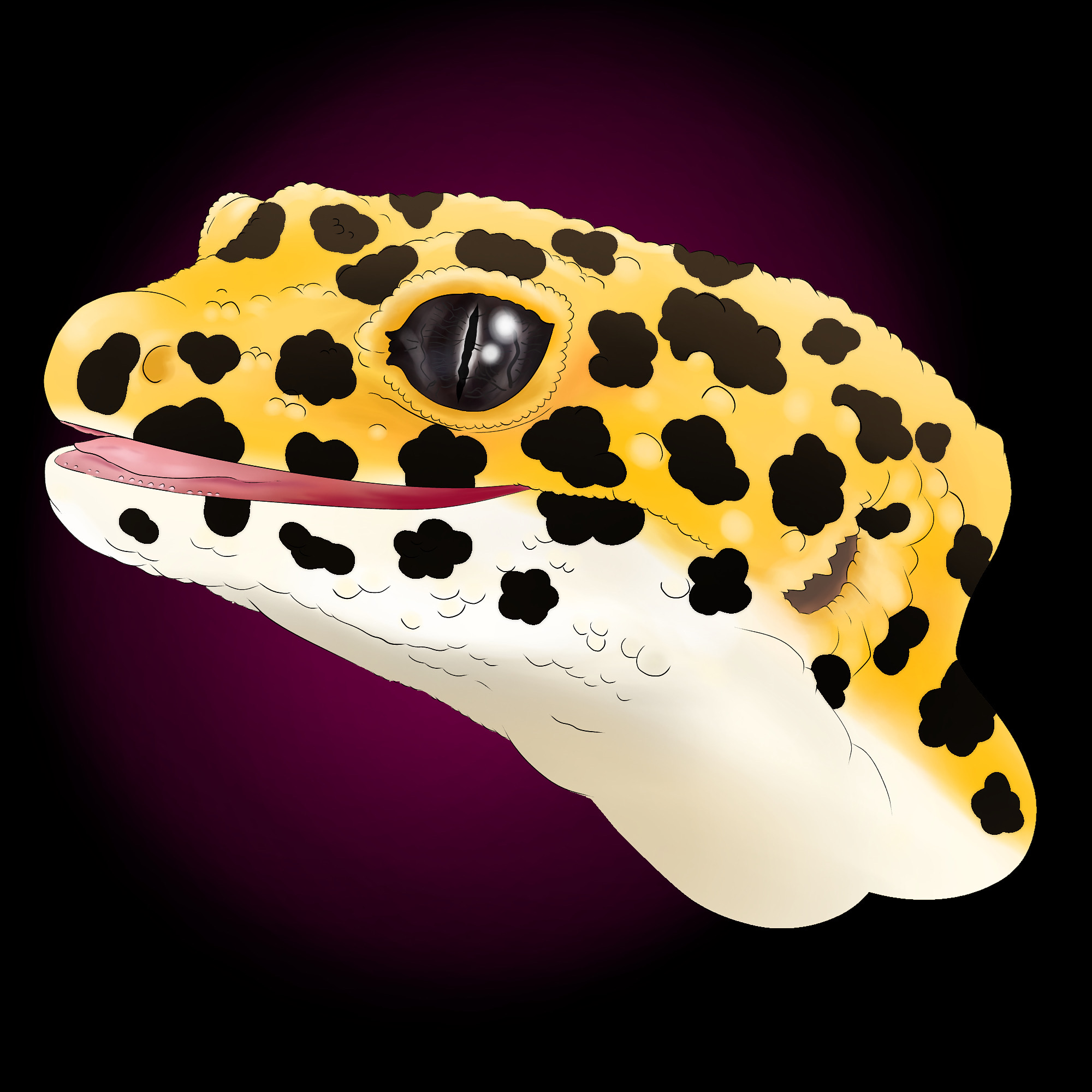 Gecko Deviantart Leopard Gecko Head by FinchsArtworks on DeviantArt