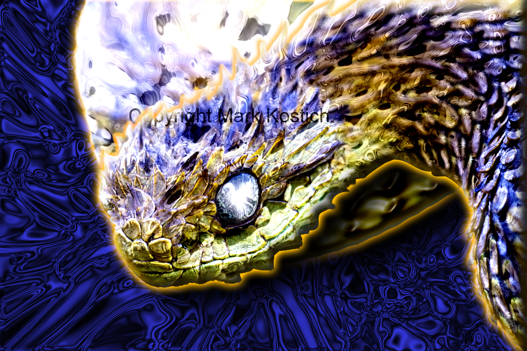 Modified Atheris Hispida by ArrenKuroitou on DeviantArt