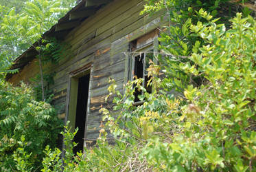 New growth old house