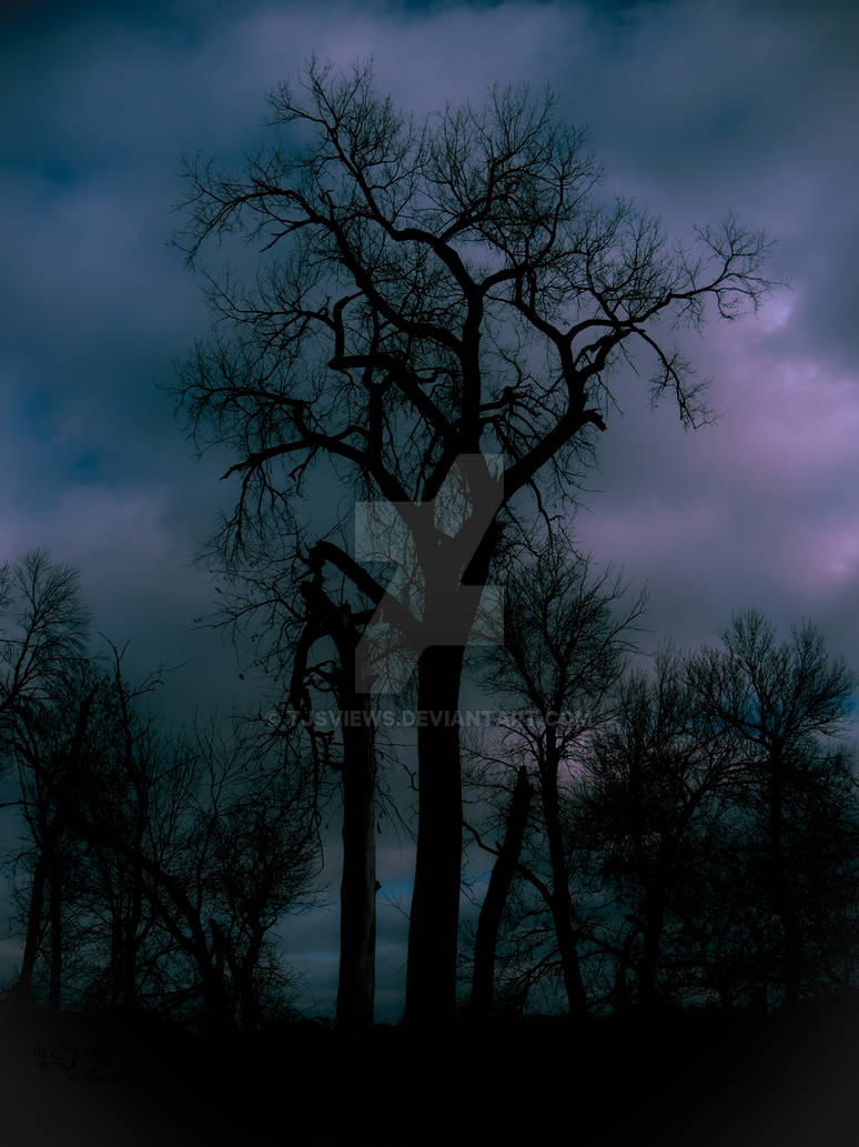 Tree Mdark BIG Dark Tree by tjsviews on DeviantArt
