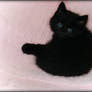 Little Black Kitten II