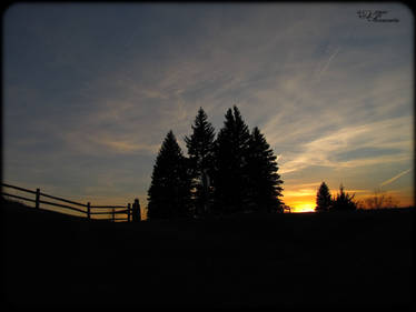 Silhouette Sunset