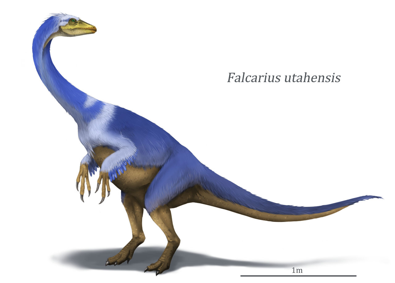Falcous Falcarius by Y-Forest on DeviantArt