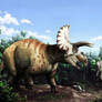 Triceratops