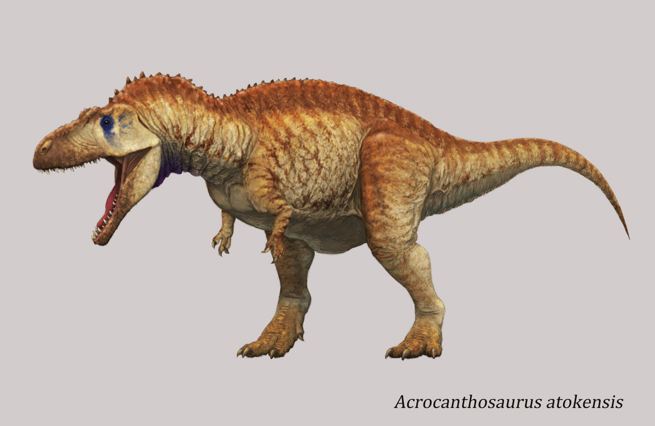 Acrocanthosaurus by Y-Forest on DeviantArt