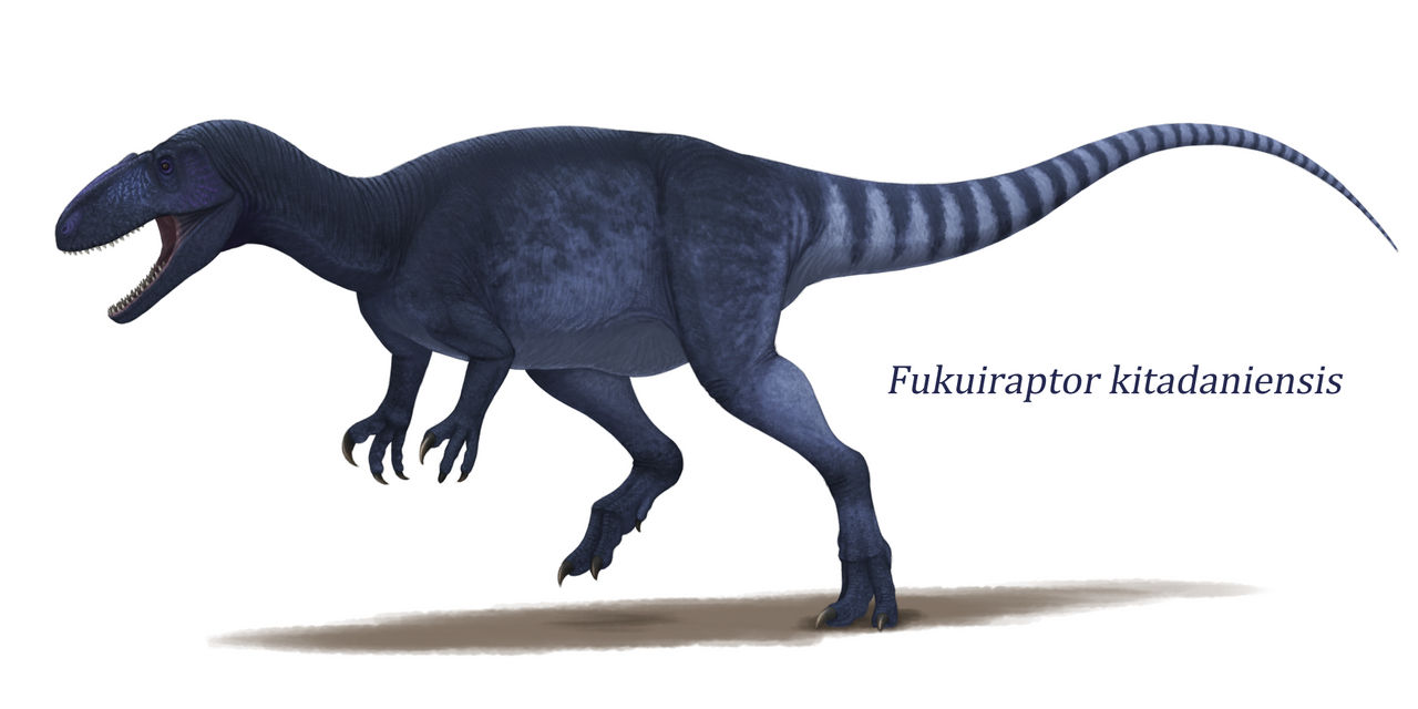 Fukuiraptor by Y-Forest on DeviantArt
