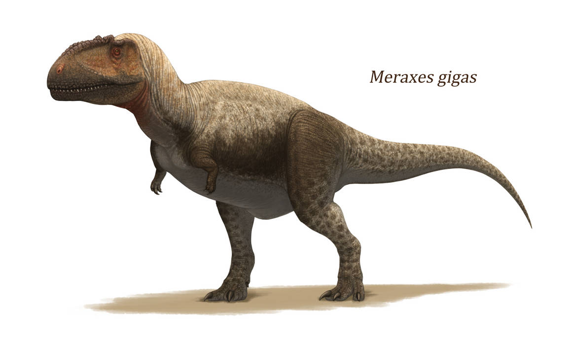 Meraxes by Y-Forest on DeviantArt