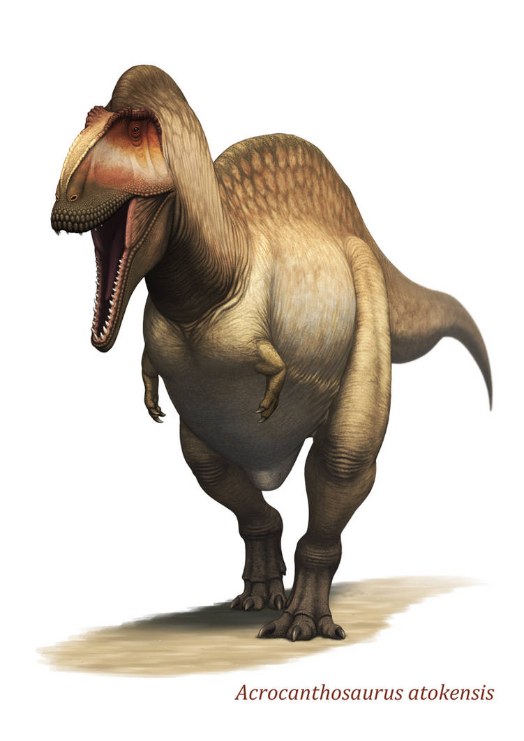 Acrocanthosaurus by Y-Forest on DeviantArt
