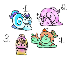 CLOSED SNAIL ADOPTS