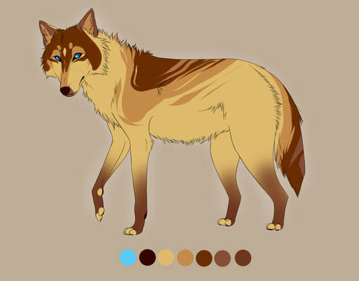 Eastern Wolf Adoptable - Open