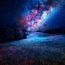 Milky Way on my Dream.