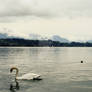 Lake Lucerne Switzerland