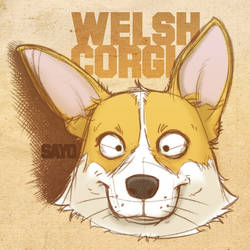 Welsh Corgi - sketch