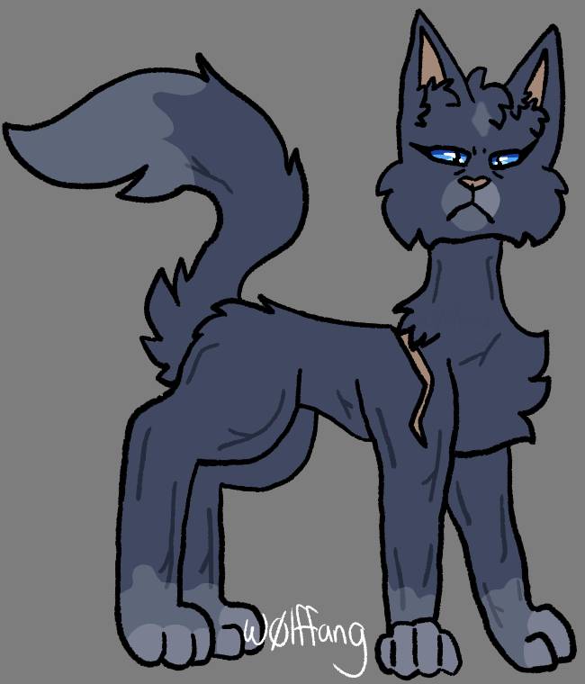 Bluestar Warriors Design by Solarizing on DeviantArt