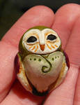 Wee Owl by Shalladdrin
