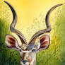 Shades of Africa - Kudu