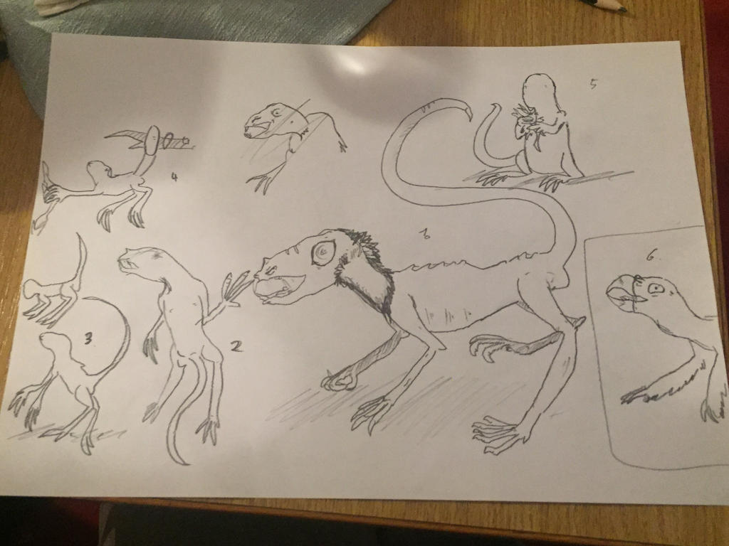 Animal Ruff Drawing All Todays: The Ape-Rodent(Ruff Sketch) by TheGreatSammurott on DeviantArt