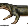 Cyonosaurus longiceps