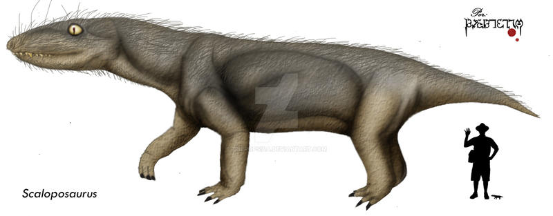 Scaloposaurus