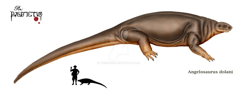Angelosaurus dolani