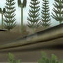 Cotylorhynchus hancocki