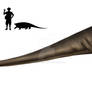Cotylorhynchus romeri